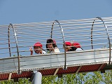 DSC03461.jpg