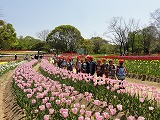 DSC03485.jpg