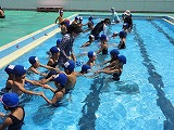 DSC04174.jpg