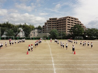 DSC04395.jpg