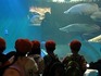 DSC04549.jpg