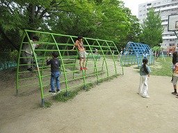 IMG_0982.jpg