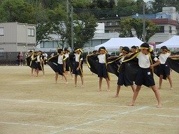 IMG_3554.jpg