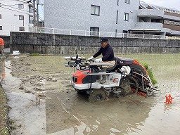 IMG_0377.jpg