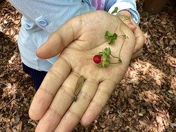 IMG_0327.jpg