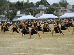 IMG_3564.jpg