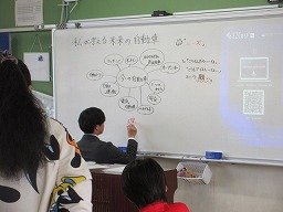 IMG_0915.jpg