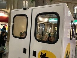 2025-12-17 09.43.44.jpg