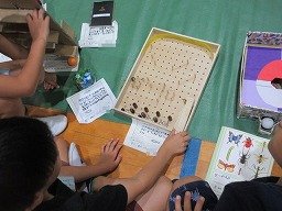IMG_2493.jpg