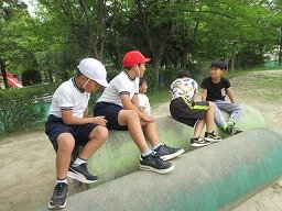 IMG_0991.jpg
