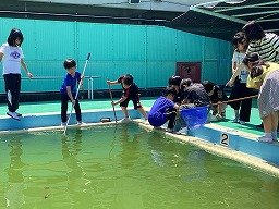 画像 -20250528-014521-1a3f2ae1.jpg