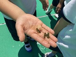 画像 -20250528-014407-96f22b9b.jpg