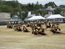IMG_3559.jpg