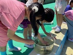 画像 -20250528-014223-abf13ac0.jpg