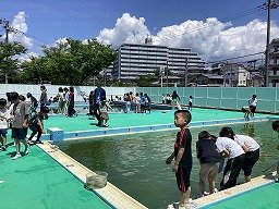 画像 -20250528-014057-6cc70808.jpg