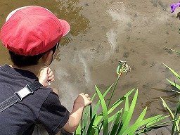 IMG_0320.jpg