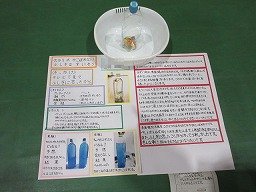 IMG_2527.jpg