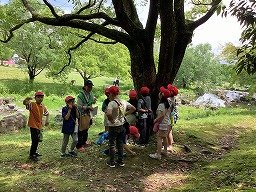 IMG_0162.jpg