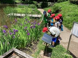 IMG_0309.jpg