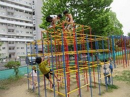 IMG_0989.jpg