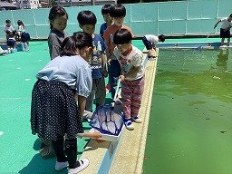 画像 -20250528-014153-2ded3828.jpg