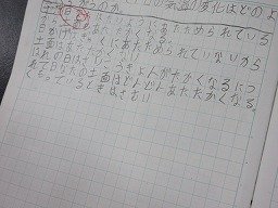 IMG_0555.jpg