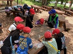 IMG_0181.jpg