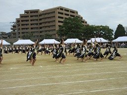 IMG_3544.jpg