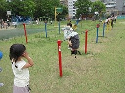 IMG_0980.jpg