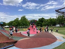 IMG_0209.jpg