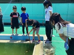 画像 -20250528-014210-6734d2ec.jpg