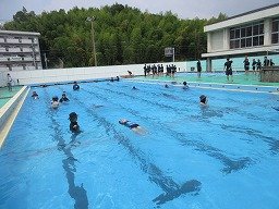 IMG_1787.jpg