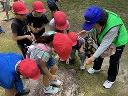 IMG_0307.jpg