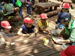 IMG_0326.jpg
