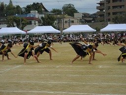 IMG_3550.jpg