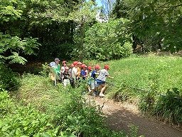 IMG_0174.jpg