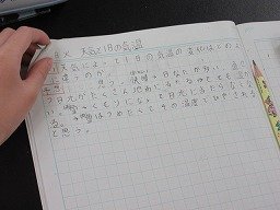 IMG_0554.jpg
