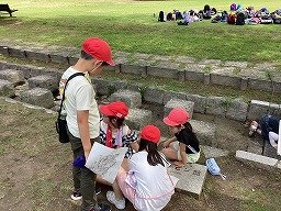 IMG_0211.jpg