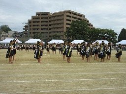 IMG_3548.jpg