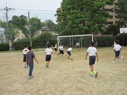 IMG_0978.jpg