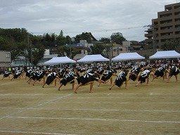 IMG_3568.jpg