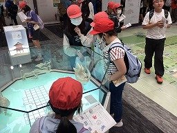 IMG_0146.jpg