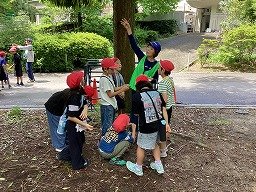 IMG_0156.jpg