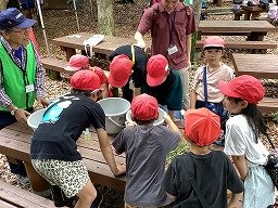 IMG_0178.jpg