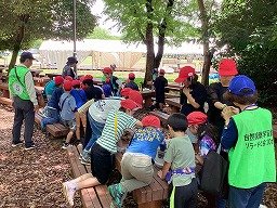 IMG_0184.jpg