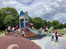 IMG_0206.jpg