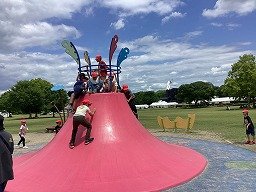 IMG_0207.jpg