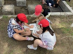IMG_0210.jpg