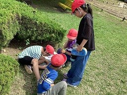 IMG_0212.jpg