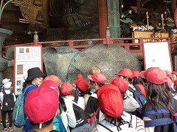 IMG_0227.jpg
